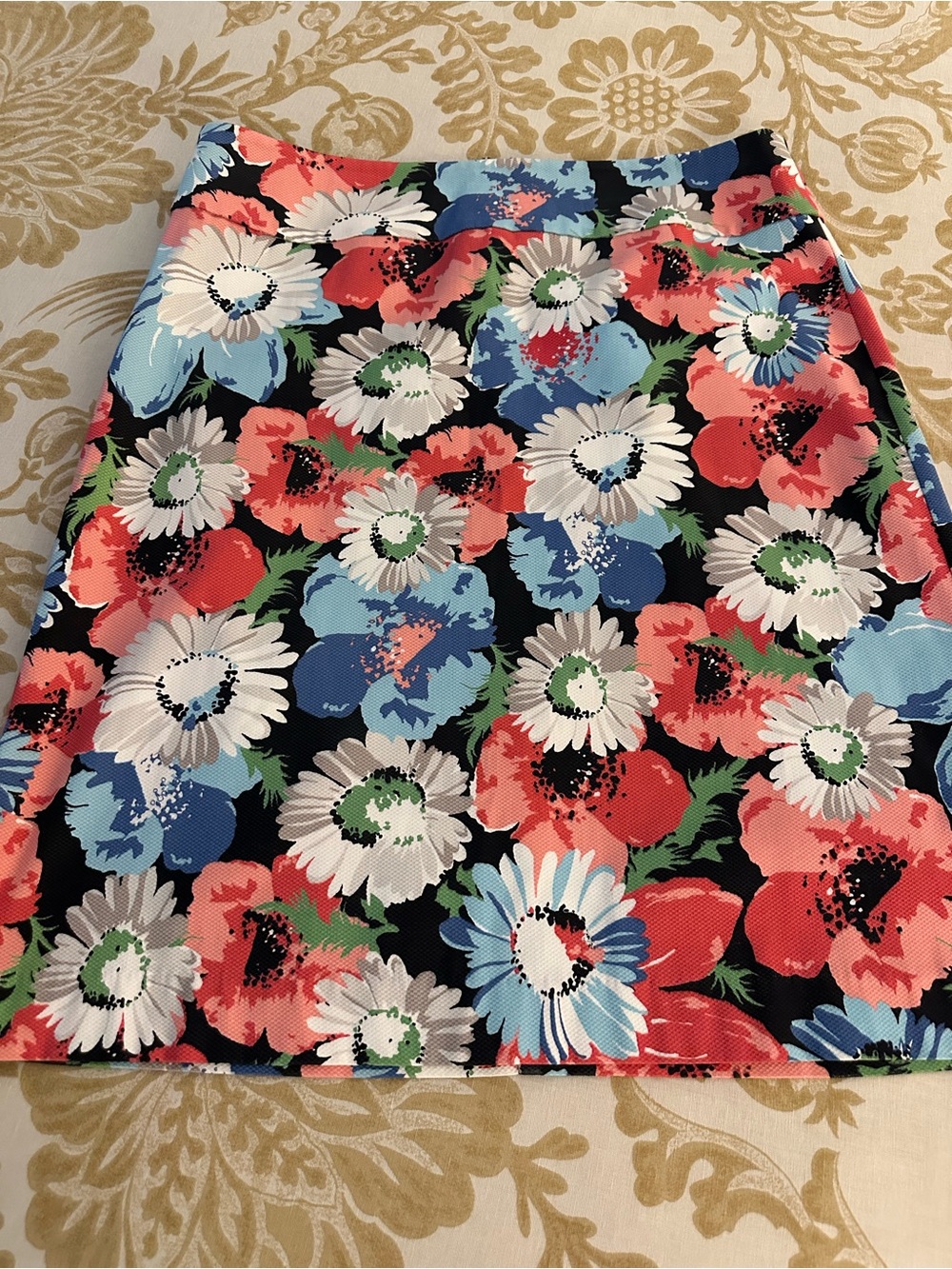 Talbots Skirt